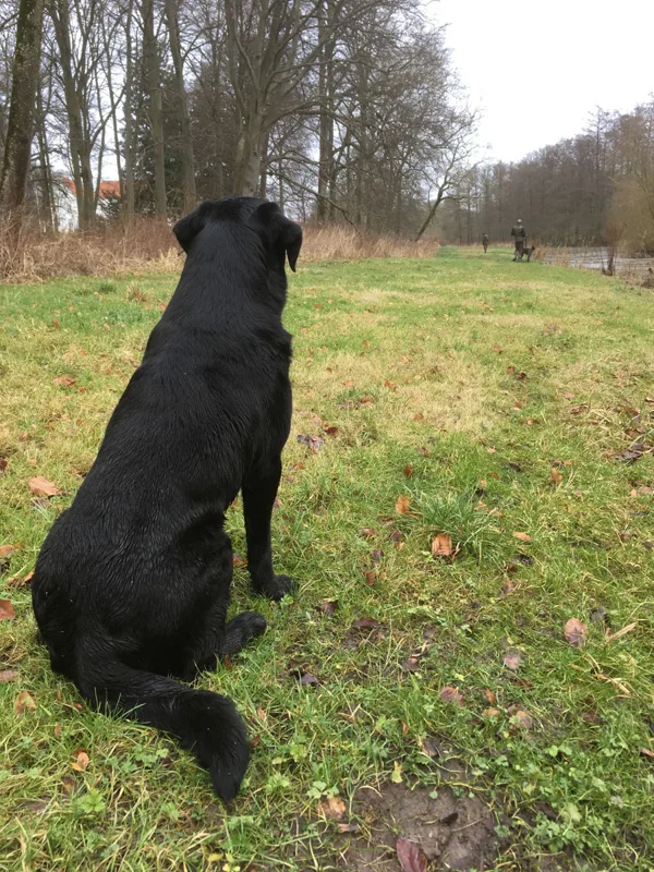 Spänd förväntan